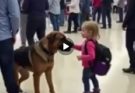 ✍️✍️Security Dog Started Barking at a Child’s Backpack—What Was Inside Made the Whole Airport Go Silent Watch: see more
